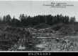 Talu rajamine Laiksaare metsa asunduses. 1920 - EFA