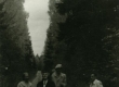 [Minni Nurme], Betti Alver, tundmatu ja Mart Lepik Valgemetsas okt. 1956 - KM EKLA