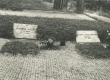 August Alle ja Marta Alle-Braff'i hauad Tallinna Metsakalmistul 1974. a. - KM EKLA