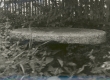 K. E. Sööt'i sünnikohas Luunjas Lohkva külas Tuki talus säilinud endisest veskist kivi aialauana. 1965. a. - KM EKLA