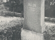 Ernst Enno haud Haapsalu vanal kalmistul - KM EKLA