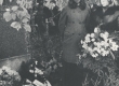 Ella Enno põrmu muldasängitamiselt 2. nov. 1974. a. Haapsalu I Kk. õpilane Aili Laks esitab E. Enno luuletuse "Kui suri lill" - KM EKLA