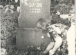 Ernst Enno haud Haapsalu kalmistul - KM EKLA