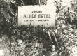 Aliide Erteli haud Puka kalmistul 1970. a. - KM EKLA